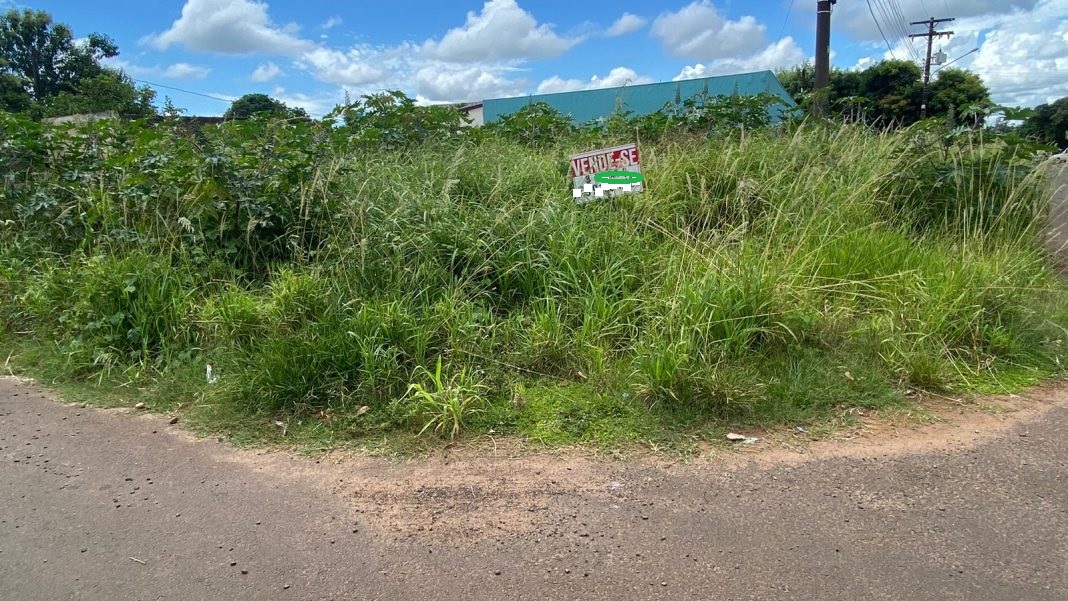 Prefeitura de Ponta Porã notifica proprietários para limpeza de terrenos