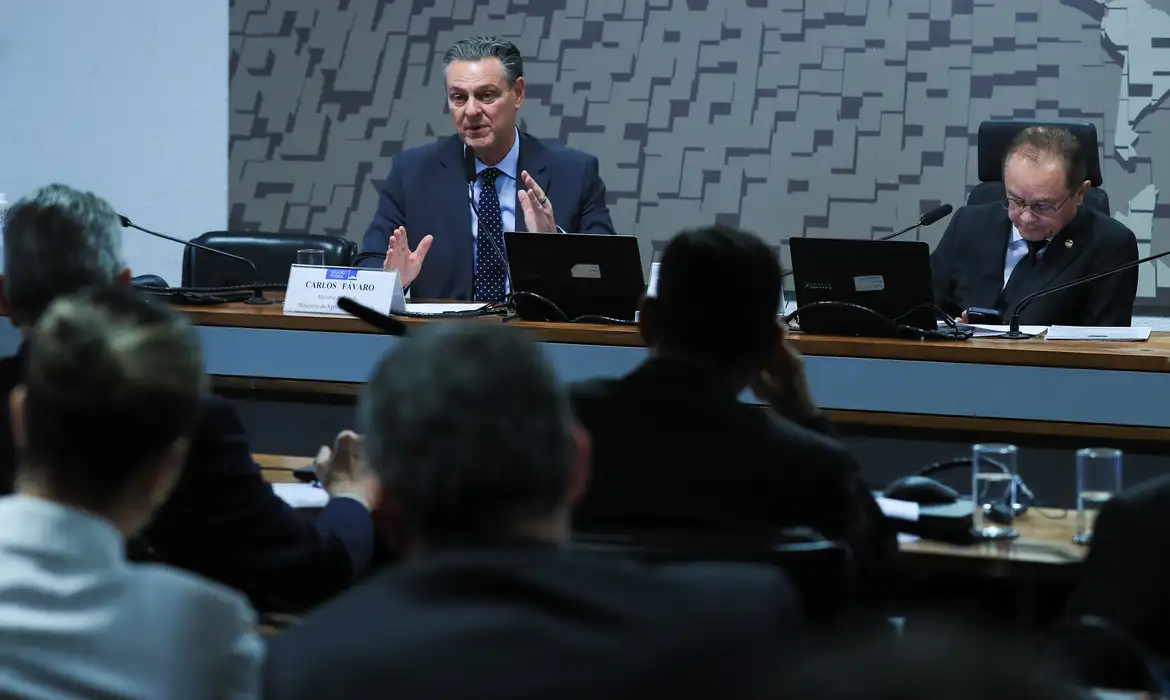 Ministro da Agricultura anuncia que foco de gripe aviária está contido